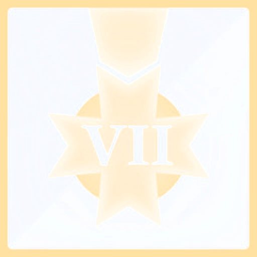 Challenges of Chapter VII
