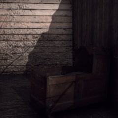 Cradle Will Fall