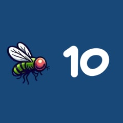 Flies 10