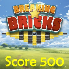 Score 500