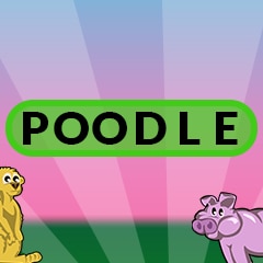 They Have Oodles in Common with Noodles
