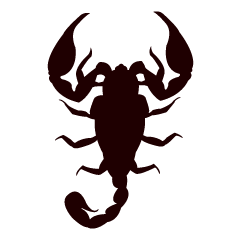 Scorpion Fight