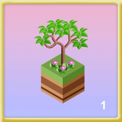 LAND 01