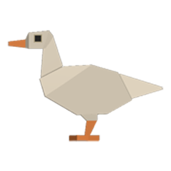Poop on a White Duck