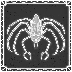 Spider Crab