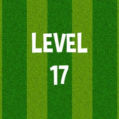 Complete Level 17