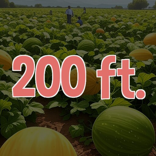 Roll 200 feet