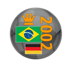 2002 FIFA World Cup™ Final