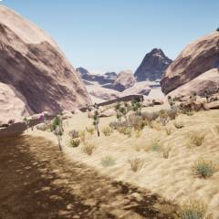 Desert Dunes