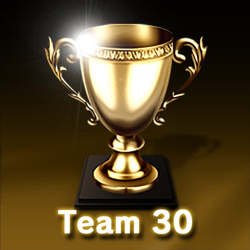 Team 30