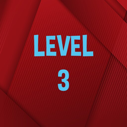 Complete level 3.