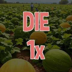Die for the first time