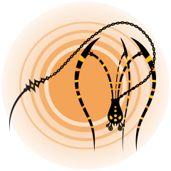 Wash the Spider Down