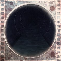 「地下下水道のペット」事件解決