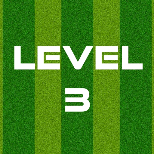 Complete Level 3