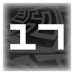 17