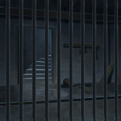 Imprisoned