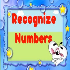 Recognize Numbers Winner