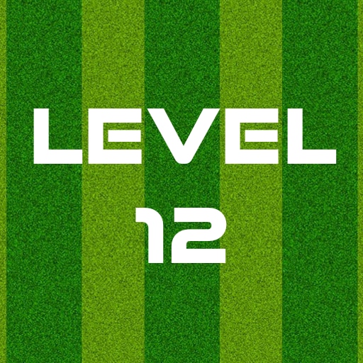 Complete Level 12