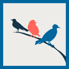 Three Birds, One Stone