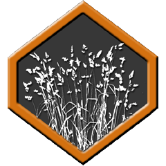 Wildlife Botanist