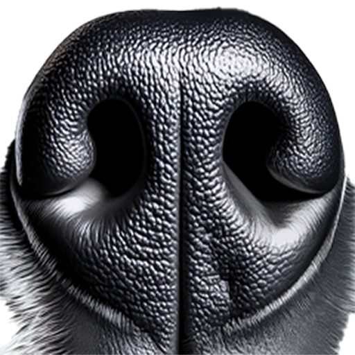 Boop the Snoot 175 times