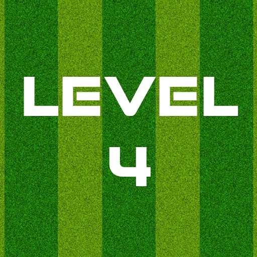 Complete Level 4