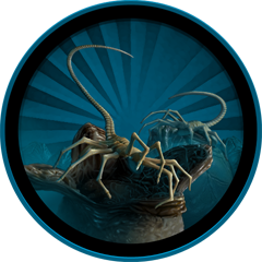 Bug Hunt