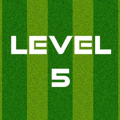 Complete Level 5