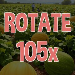 Rotate 105 times