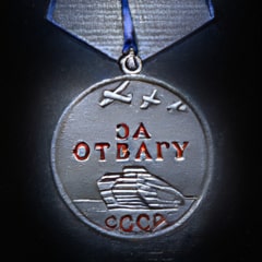 Medal For Valour