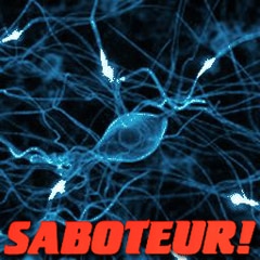 SYNAPSE