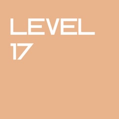 Level 17