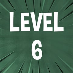 Complete Level 6