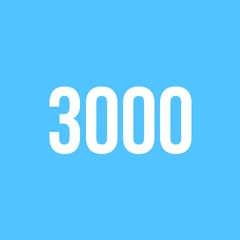 Score 3000