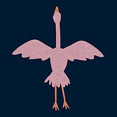 Flight of the Flamingo