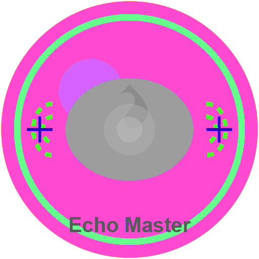 Echo Master