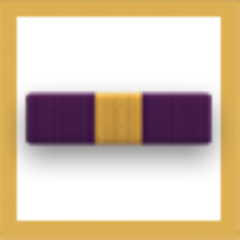 Distinguished Service Medal