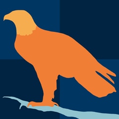 Fly Like an Eagle