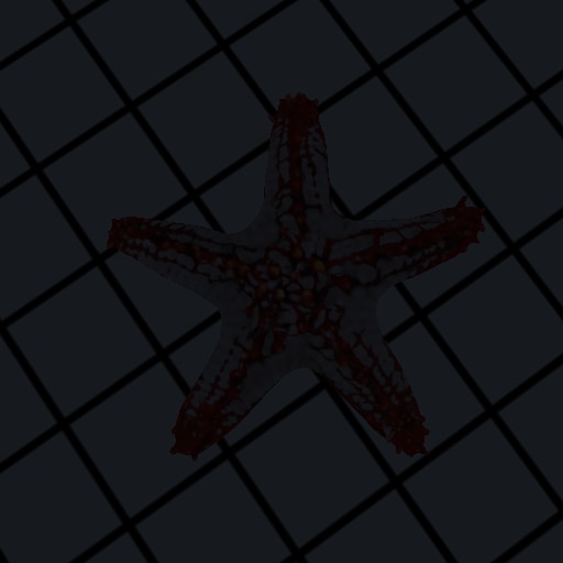 Rick The Starfish