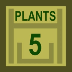5 Plants