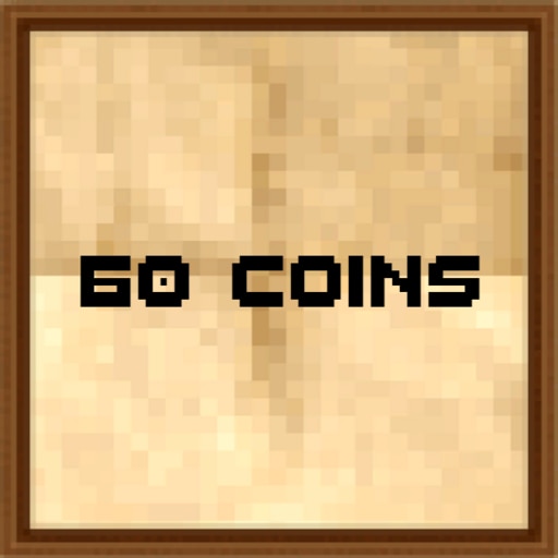 60 Coins