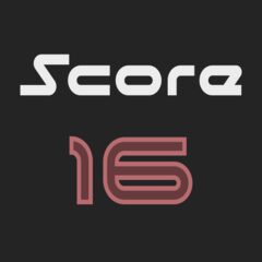 Score 16