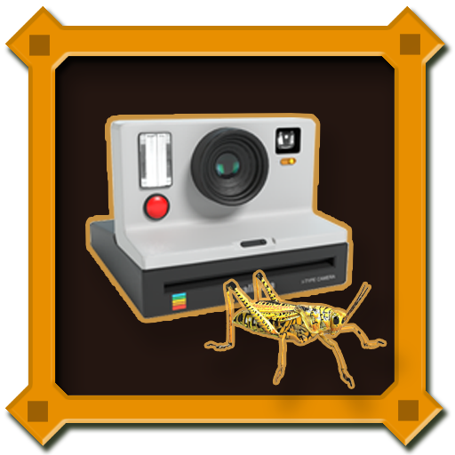 All Insects Photographed