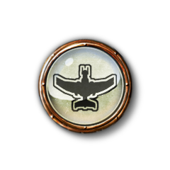 Pilot's License