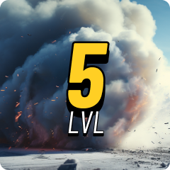 Level 5