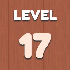 Level 17
